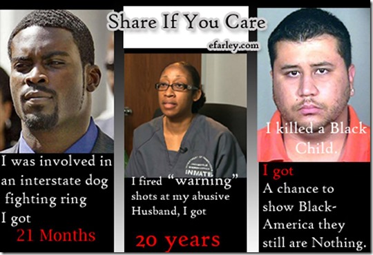 Trayvon Martin, George Zimmerman, Martin Bashir