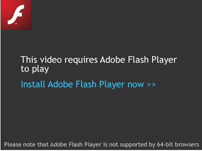 Adobe Flash Player IE 11 Internet Explorer 11 Windows 8.1