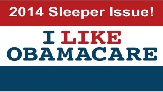 Obamacare Election 2014
