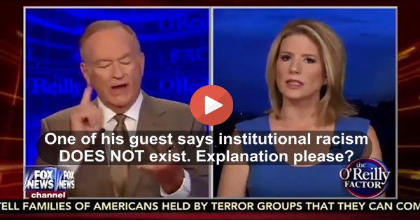 Bill O'Reilly almost pops a vein when asked if he has any black friends