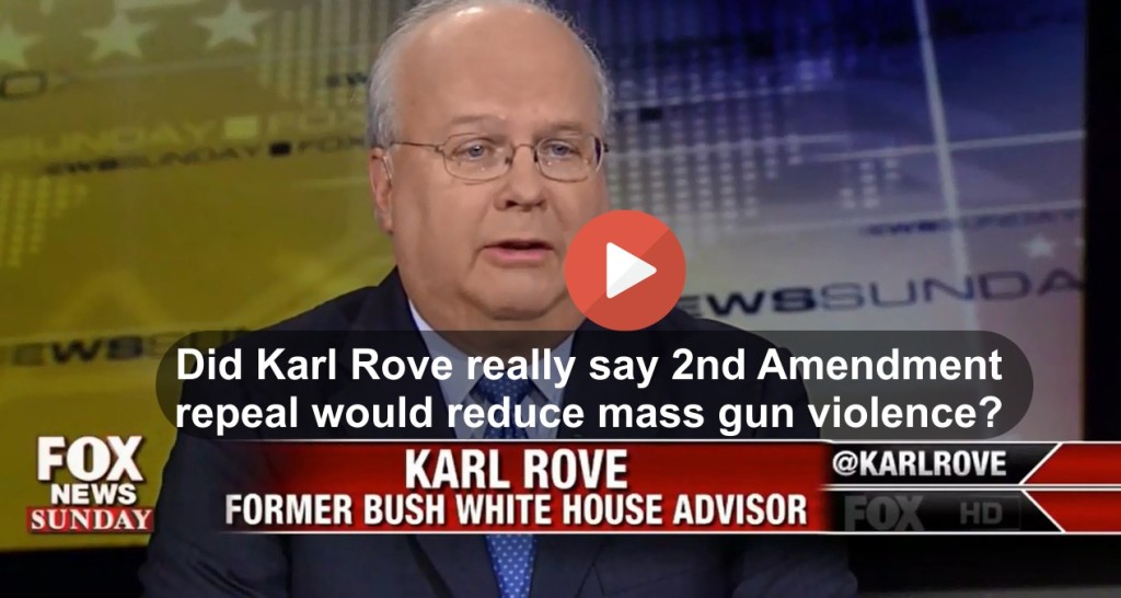 Is Karl Rove advocating the repeal of the 2nd amendment to stop gun violence