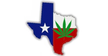 Marijuana Cannibas Texas