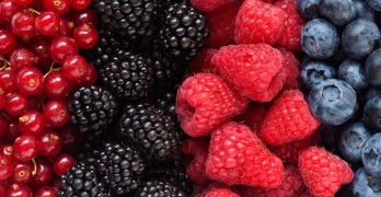 New Study Antioxidants causes cancer to spread fastrer