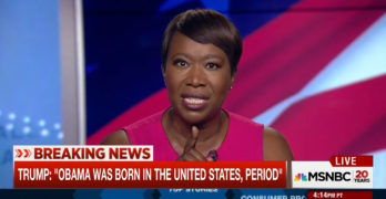 Joy-Ann Reid destroys surrogate defending Trump's birthirism (VIDEO)