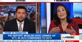 MSNBC Host grills Muslim Trump voter as she blames the aggrieved (VIDEO)