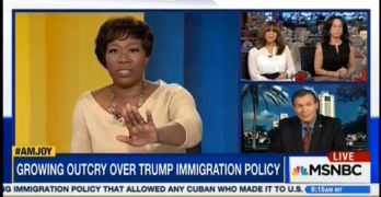 Joy-ann Reid kicks congressman off her show for racist comments (VIDEO)
