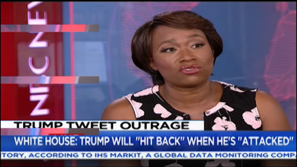 Joy-Ann Reid stops MSNBC host from false narrative of who to blame for Trump win (VIDEO)
