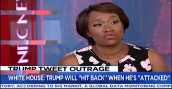 Joy-Ann Reid stops MSNBC host from false narrative of who to blame for Trump win (VIDEO)