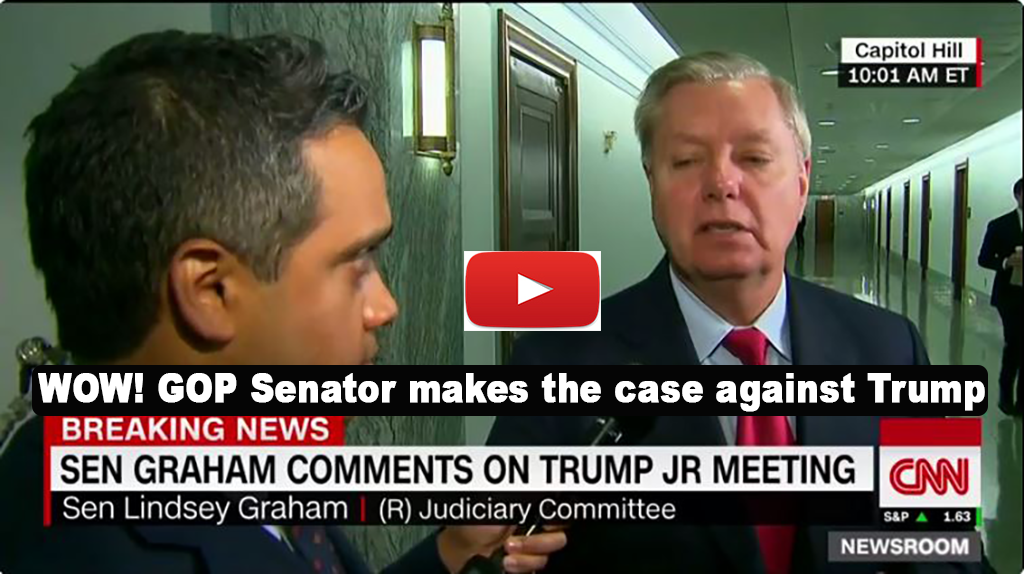 WOW_ GOP Senator makes case that Trump campaign colluded with Russia