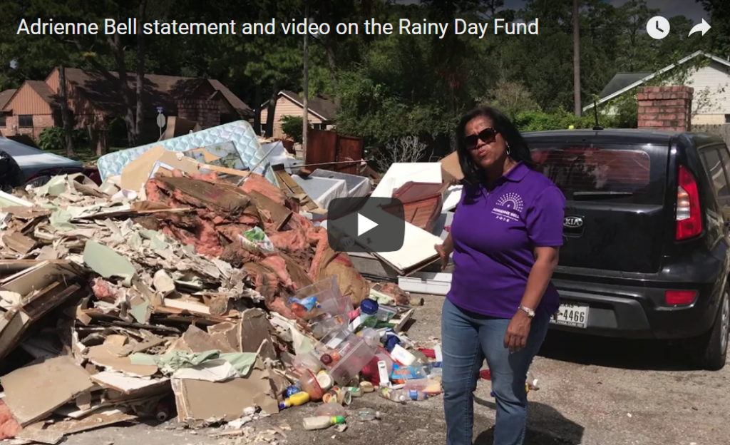 Adrienne Bell, District 14 Congressional Candidate Rainy Day Fund Statement (VIDEO)