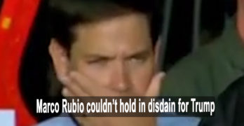 Marco Rubio disdain for Trump