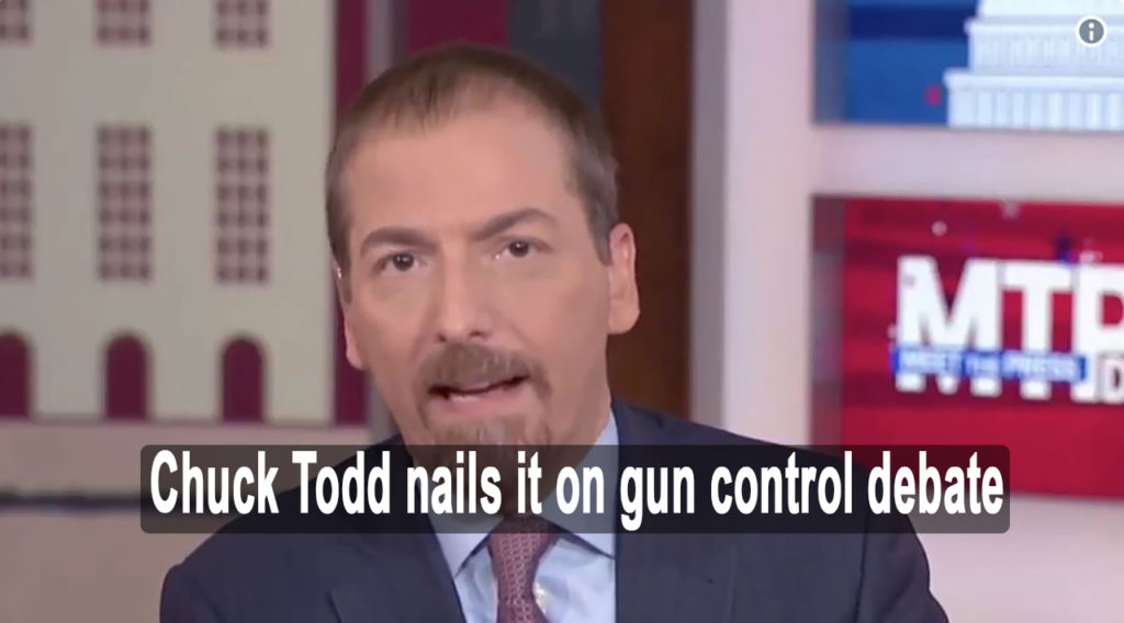 Chuck Todd nails it on gun control