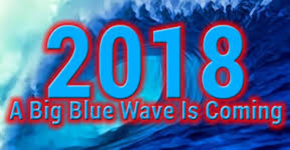 Democrats Blue Wave 2024 - Dione Frankie