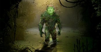 Donald Trump Swamp