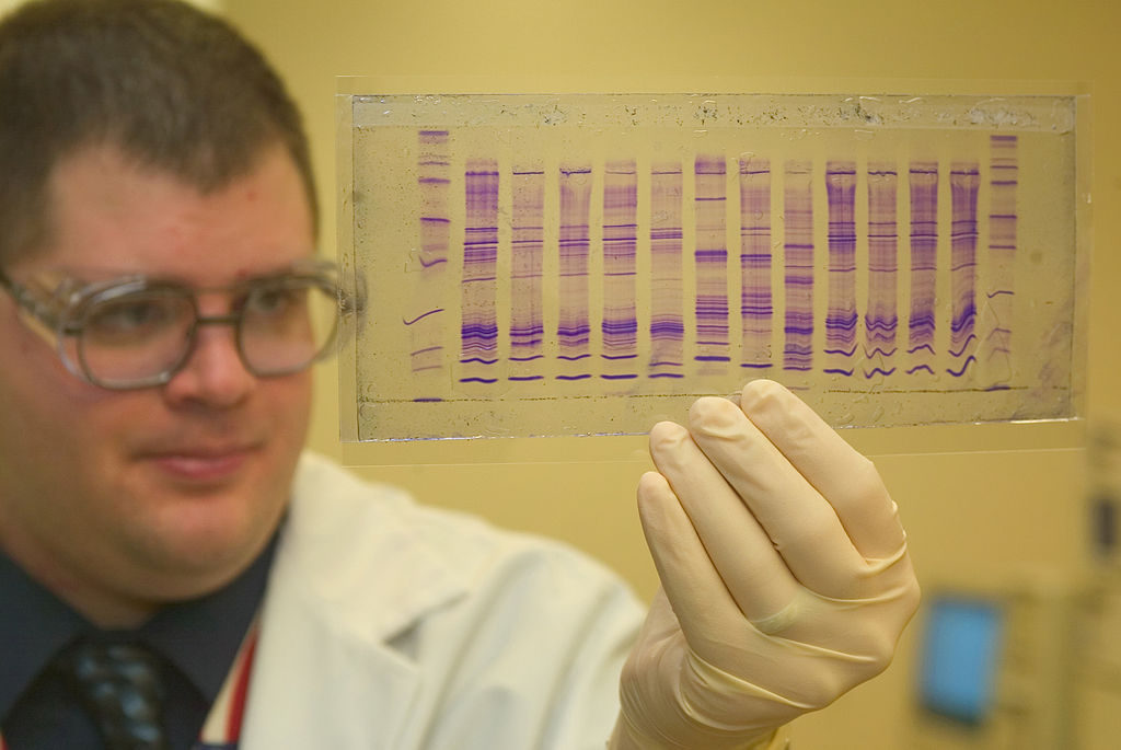 Ancestry Tests