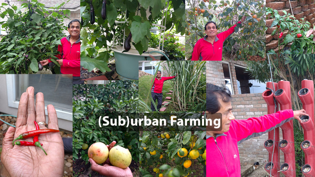 Dr. Kris Bhat (sub)urban farming