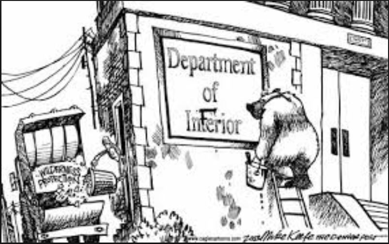Department of the inferior
