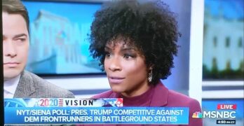 Pundit Zerlina Maxwell poses an important question to Democrats they better heed