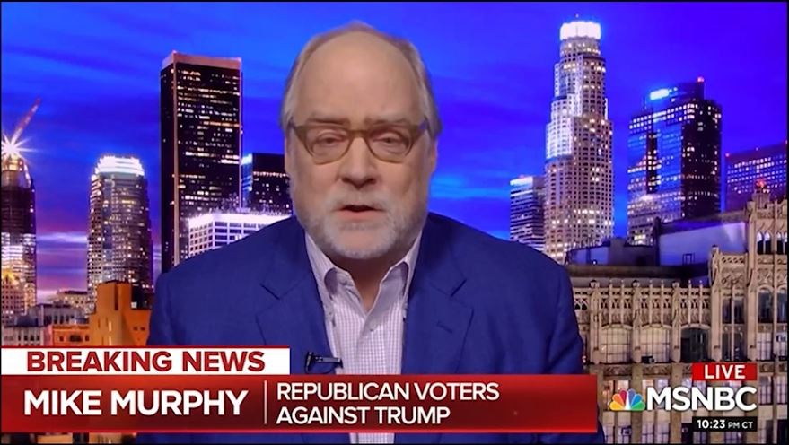 GOP Strategist on Republicans: They have declared war on the institution of Democracy