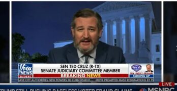 Ted Cruz, Harvard & Princeton educated, wants the Supreme Court to decide election 2020 on Hannity.