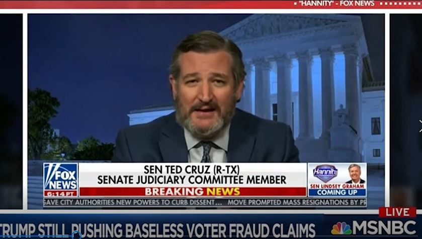 Ted Cruz, Harvard & Princeton educated, wants the Supreme Court to decide election 2020 on Hannity.