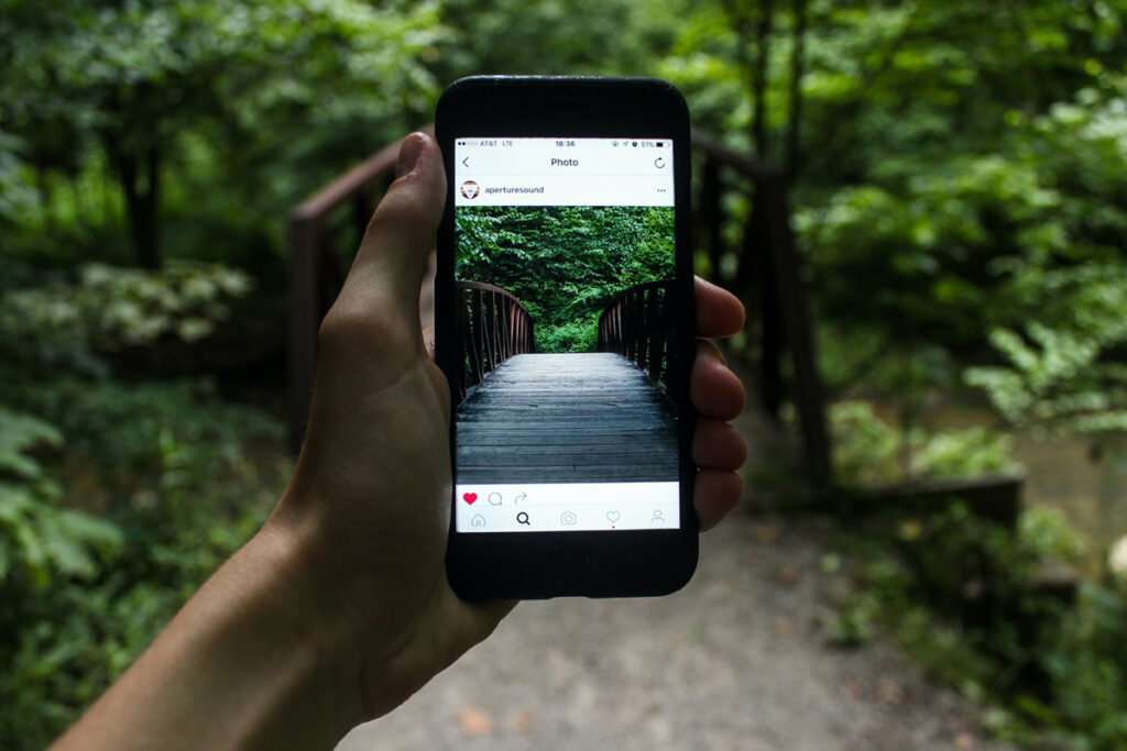 What are the best Instagram feeds to follow for environmental activism.