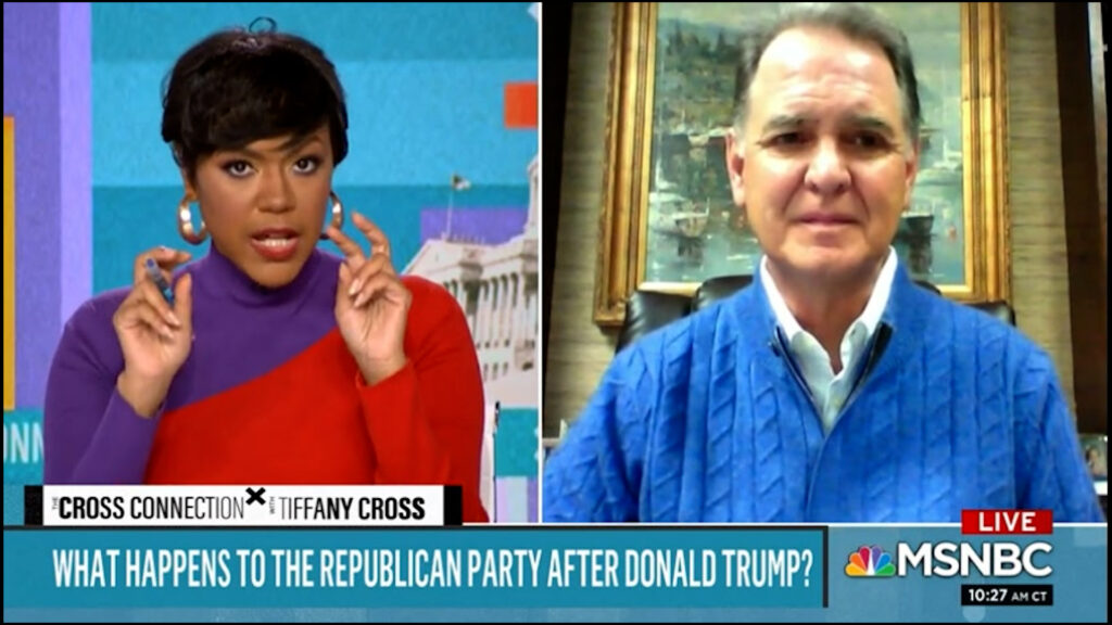 Epic! MSNBC's Tiffany Cross decimates Republican on what the GOP stands for