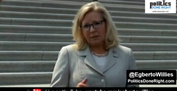 Liz Cheney supports Pelosi's removal of Republicans & says McCarthy unqualified to be Speaker
