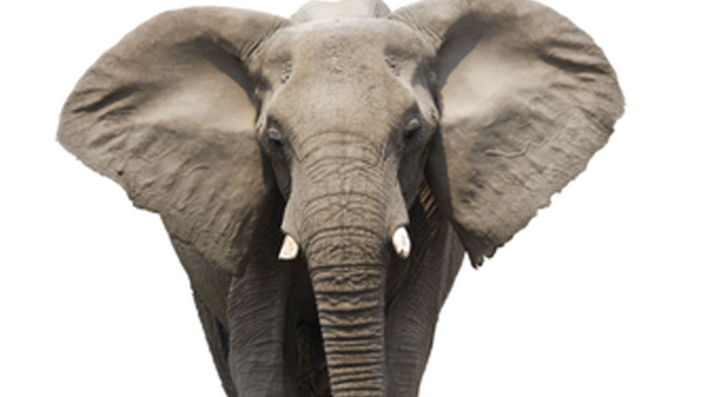 The elephant in the Texas voting booth that neither party wants to talk about.