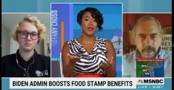 Tiffany Cross on SNAP Food Stamps