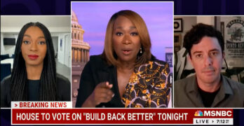 Joy-Ann Reid agrees Quinnipiac Poll is incoherent and gives sound mitigating advice to Democrats