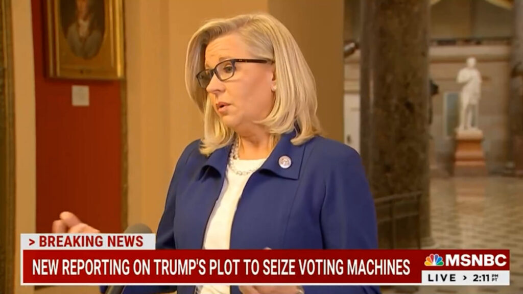 Republican Liz Cheney implores Americans to see Donald Trump as a clear and present danger