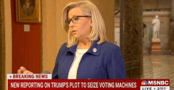 Republican Liz Cheney implores Americans to see Donald Trump as a clear and present danger