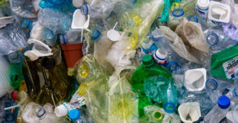 EarthTalk Q&A: February 13, 2022—Can Microorganisms Eat Our Plastic?