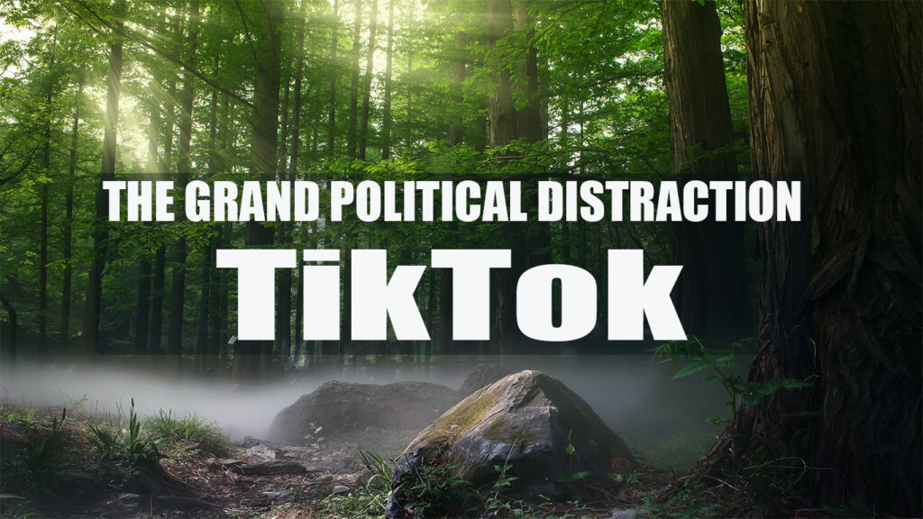 The TikTok Grand Distraction - A ban is silly, irresponsible, and anti-democratic